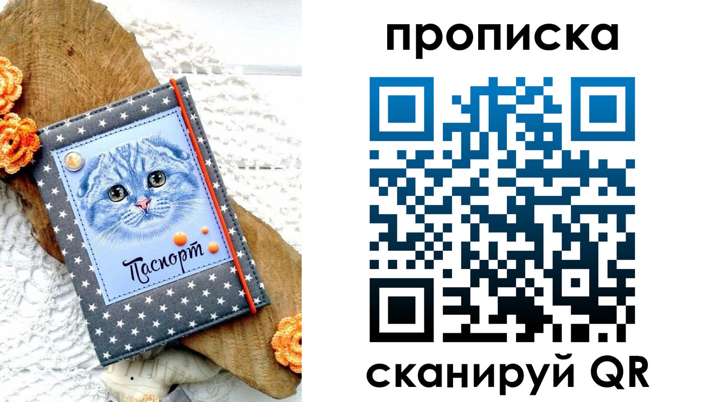 прописка от собственника в Оленегорске