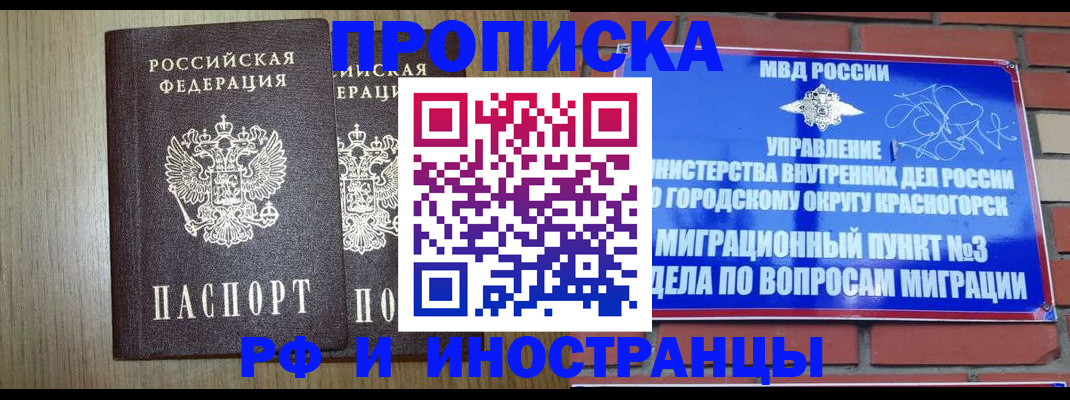 прописка в квартире в Оленегорске